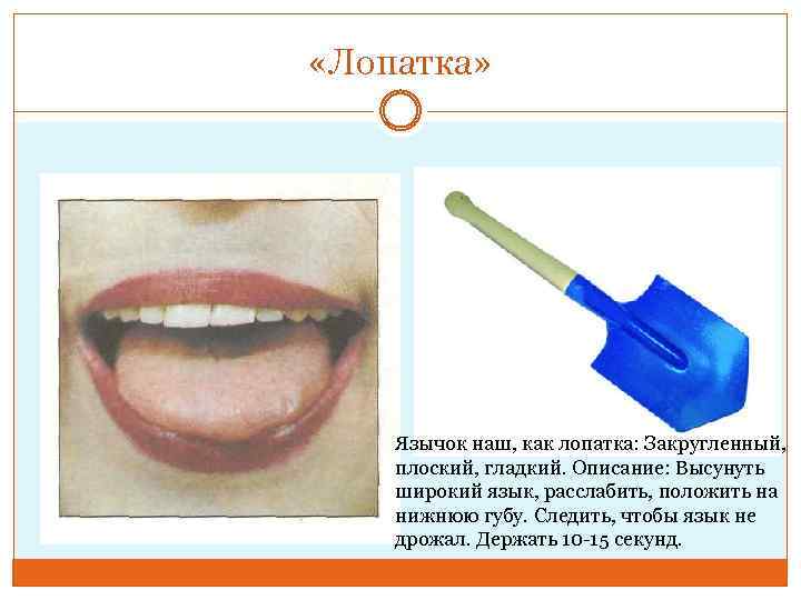  «Лопатка» Язычок наш, как лопатка: Закругленный, плоский, гладкий. Описание: Высунуть широкий язык, расслабить,