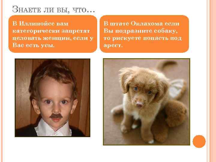 ЗНАЕТЕ ЛИ ВЫ, ЧТО… В Иллинойсе вам категорически запретят целовать женщин, если у Вас