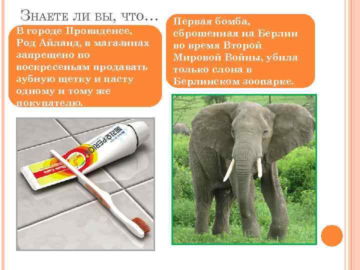 ЗНАЕТЕ ЛИ ВЫ, ЧТО… В городе Провиденсе, Род Айланд, в магазинах запрещено по воскресеньям