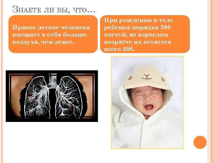 ЗНАЕТЕ ЛИ ВЫ, ЧТО… Правое легкое человека вмещает в себя больше воздуха, чем левое.