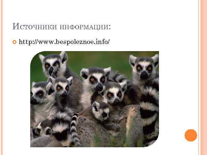 ИСТОЧНИКИ ИНФОРМАЦИИ: http: //www. bespoleznoe. info/ 