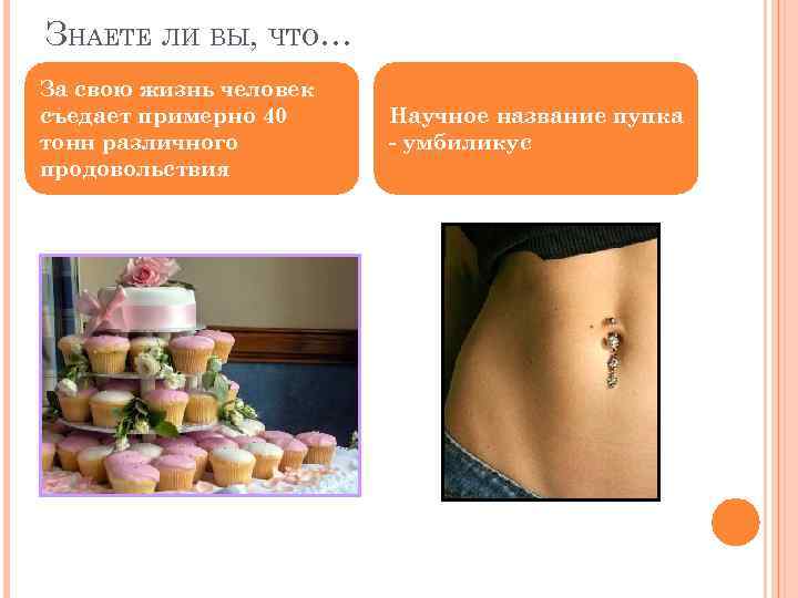 ЗНАЕТЕ ЛИ ВЫ, ЧТО… За свою жизнь человек съедает примерно 40 тонн различного продовольствия