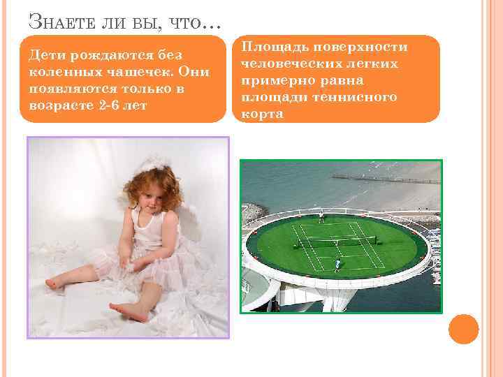 ЗНАЕТЕ ЛИ ВЫ, ЧТО… Дети рождаются без коленных чашечек. Они появляются только в возрасте