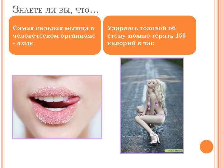 ЗНАЕТЕ ЛИ ВЫ, ЧТО… Самая сильная мышца в человеческом организме - язык Ударяясь головой