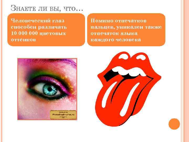 ЗНАЕТЕ ЛИ ВЫ, ЧТО… Человеческий глаз способен различать 10 000 цветовых оттенков Помимо отпечатков