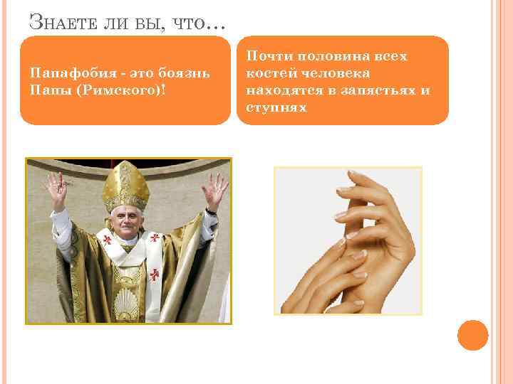 ЗНАЕТЕ ЛИ ВЫ, ЧТО… Папафобия - это боязнь Папы (Римского)! Почти половина всех костей