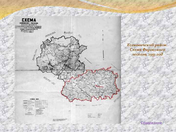 Есеновичский район. Схема Фировского лесхоза, 1953 год Содержание 