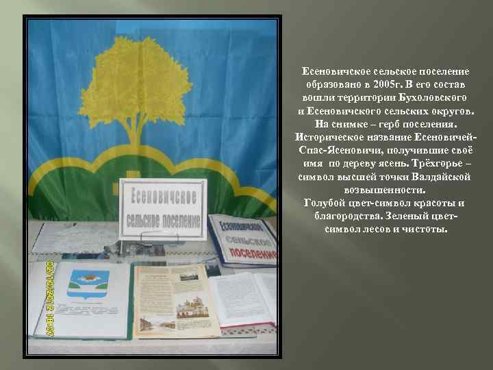 Есеновичское сельское поселение образовано в 2005 г. В его состав вошли территории Бухоловского и