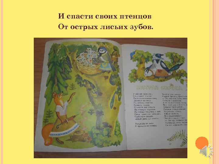 И спасти своих птенцов От острых лисьих зубов. 