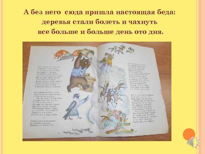 А без него сюда пришла настоящая беда: деревья стали болеть и чахнуть все больше