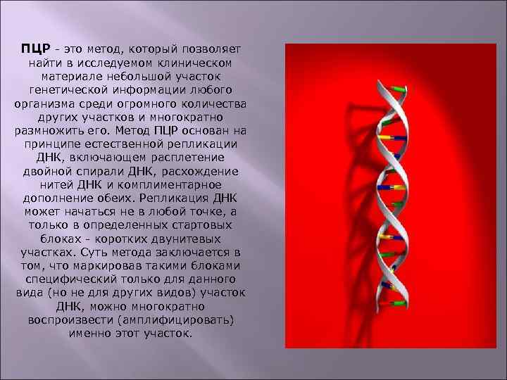 ПЦР - это метод, который позволяет найти в исследуемом клиническом материале небольшой участок генетической