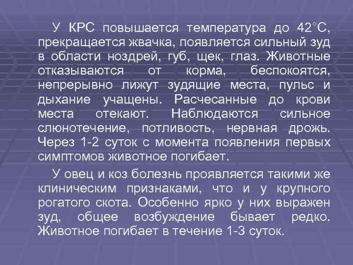 У КРС повышается температура до 42°С, прекращается жвачка, появляется сильный зуд в области ноздрей,
