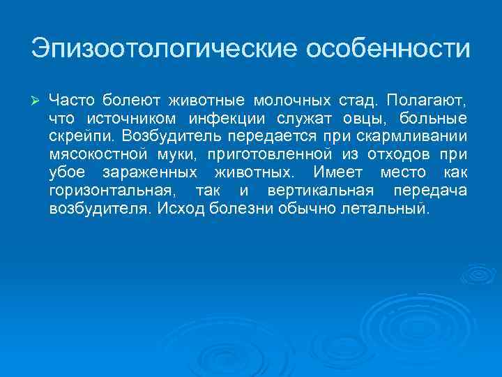 Эпизоотологические особенности Ø Часто болеют животные молочных стад. Полагают, что источником инфекции служат овцы,