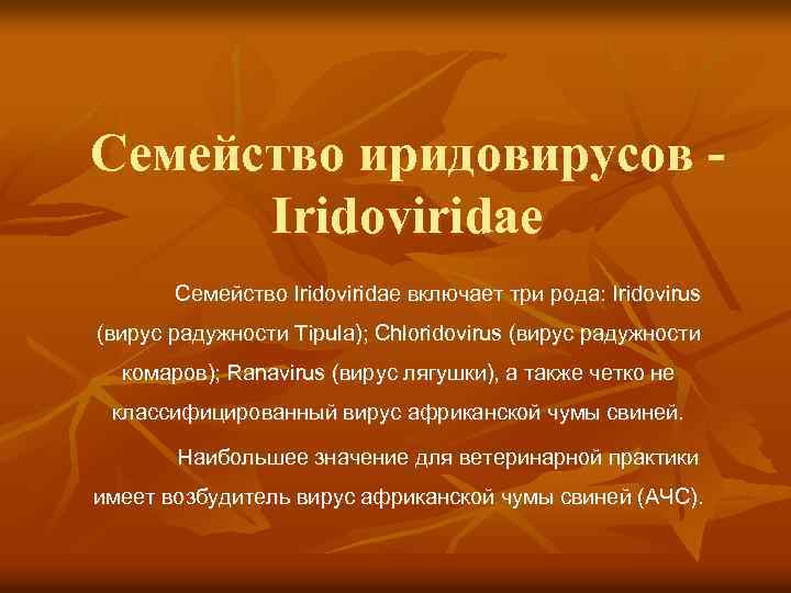 Семейство иридовирусов Iridoviridae Семейство Iridoviridae включает три рода: Iridovirus (вирус радужности Tipula); Chloridovirus (вирус
