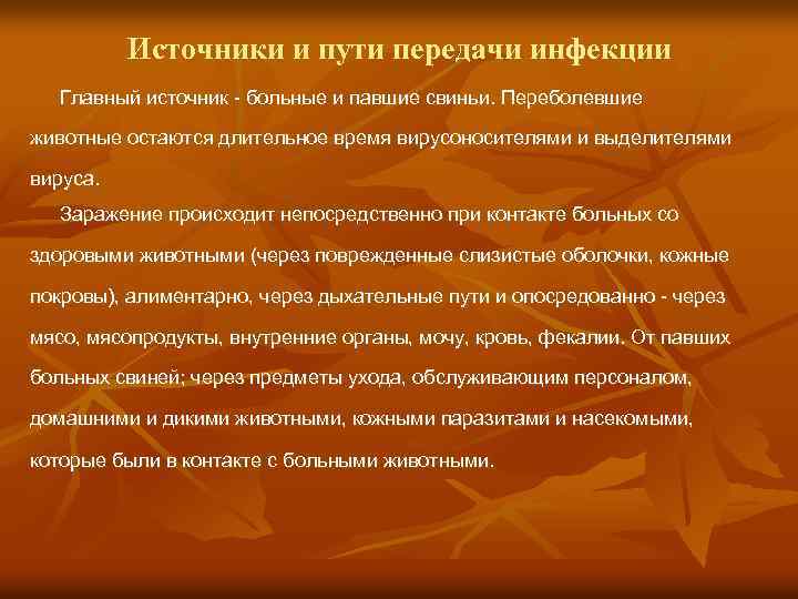 Источники и пути передачи инфекции Главный источник - больные и павшие свиньи. Переболевшие животные
