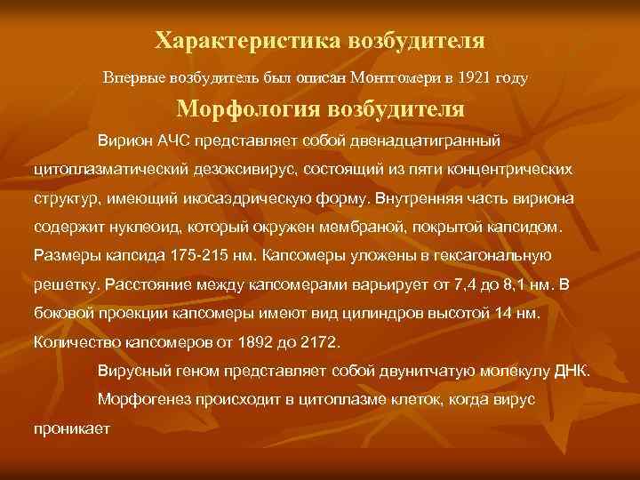 Характеристика возбудителя Впервые возбудитель был описан Монтгомери в 1921 году Морфология возбудителя Вирион АЧС