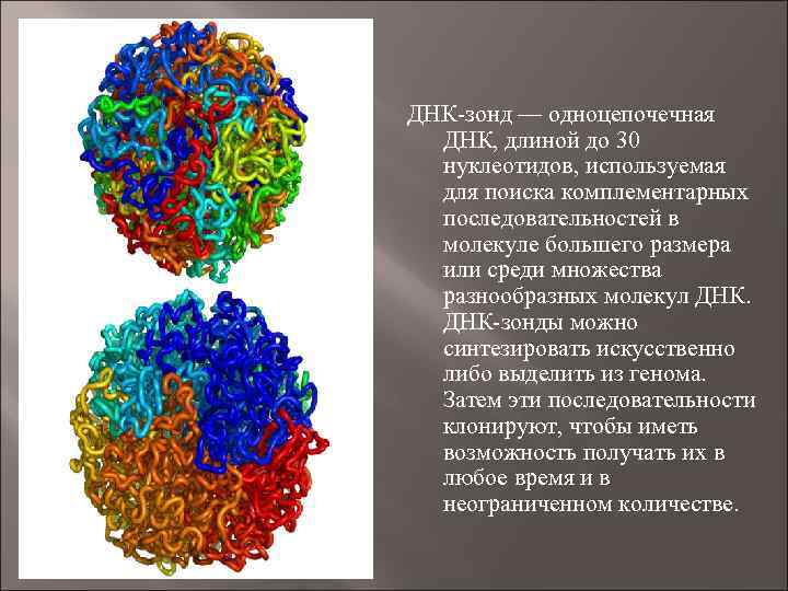 ДНК-зонд — одноцепочечная ДНК, длиной до 30 нуклеотидов, используемая для поиска комплементарных последовательностей в