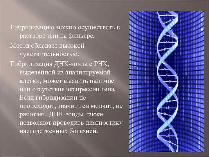 Днк зонд. Гибридизация ДНК. Методы гибридизации ДНК. Метод ДНК зондов. Гибридизационные ДНК-зонды.