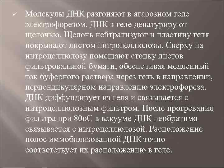 ü Молекулы ДНК разгоняют в агарозном геле электрофорезом. ДНК в геле денатурируют щелочью. Щелочь