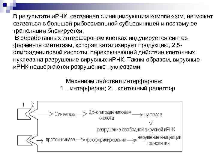 В результате и. РНК, связанная с инициирующим комплексом, не может связаться с большой рибосомальной