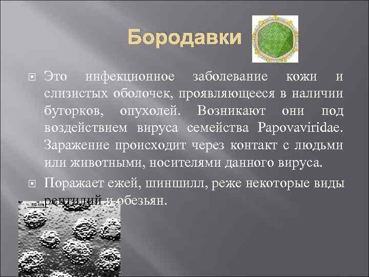 Бородавки Это инфекционное заболевание кожи и слизистых оболочек, проявляющееся в наличии бугорков, опухолей. Возникают