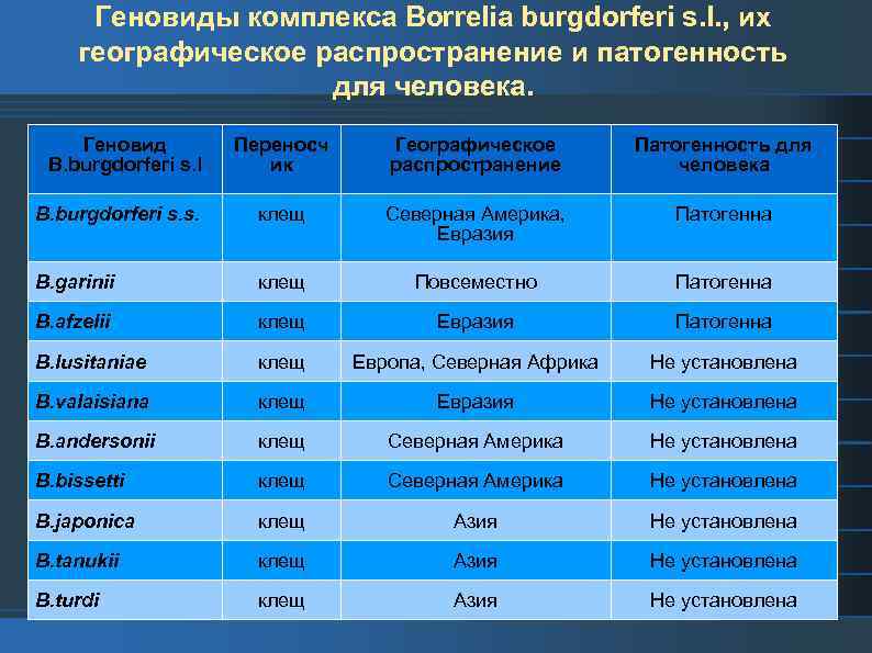 Геновиды комплекса Borrelia burgdorferi s. l. , их географическое распространение и патогенность для человека.