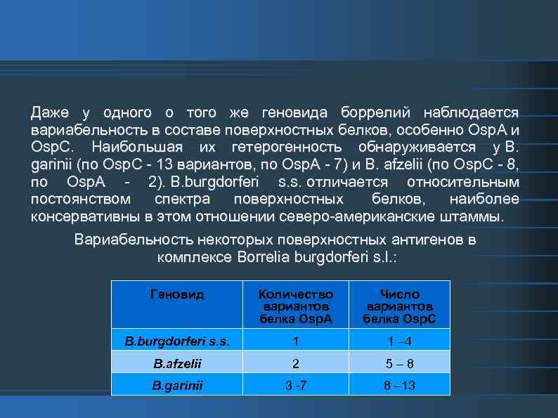 Даже у одного о того же геновида боррелий наблюдается вариабельность в составе поверхностных белков,