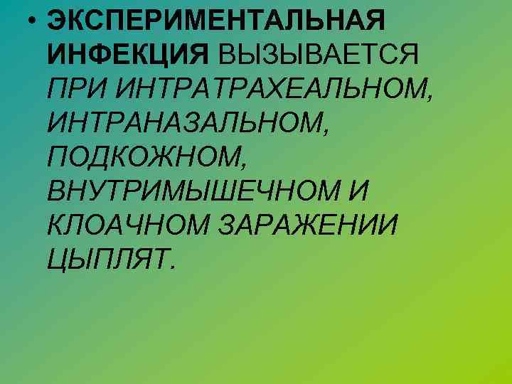  • ЭКСПЕРИМЕНТАЛЬНАЯ ИНФЕКЦИЯ ВЫЗЫВАЕТСЯ ПРИ ИНТРАТРАХЕАЛЬНОМ, ИНТРАНАЗАЛЬНОМ, ПОДКОЖНОМ, ВНУТРИМЫШЕЧНОМ И КЛОАЧНОМ ЗАРАЖЕНИИ ЦЫПЛЯТ.