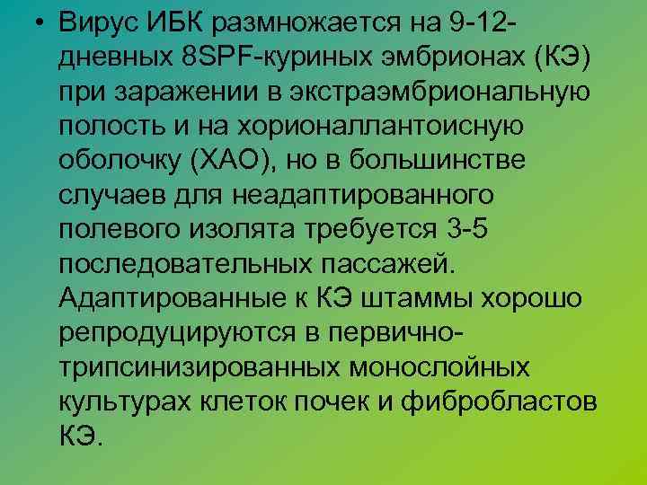  • Вирус ИБК размножается на 9 -12 дневных 8 SРF-куриных эмбрионах (КЭ) при