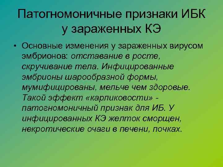 Патогномоничные признаки ИБК у зараженных КЭ • Основные изменения у зараженных вирусом эмбрионов: отставание