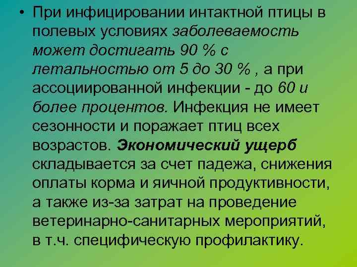  • При инфицировании интактной птицы в полевых условиях заболеваемость может достигать 90 %