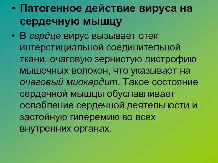  • Патогенное действие вируса на сердечную мышцу • В сердце вирус вызывает отек