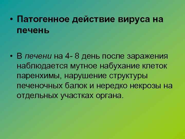  • Патогенное действие вируса на печень • В печени на 4 - 8