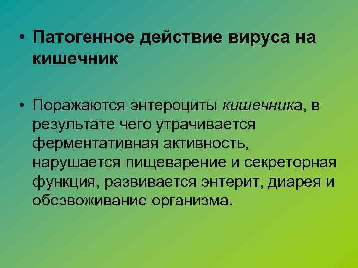  • Патогенное действие вируса на кишечник • Поражаются энтероциты кишечника, в результате чего
