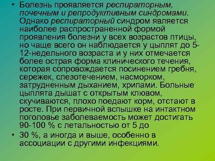  • Болезнь проявляется респираторным, почечным и репродуктивным синдромами. Однако респираторный синдром является наиболее