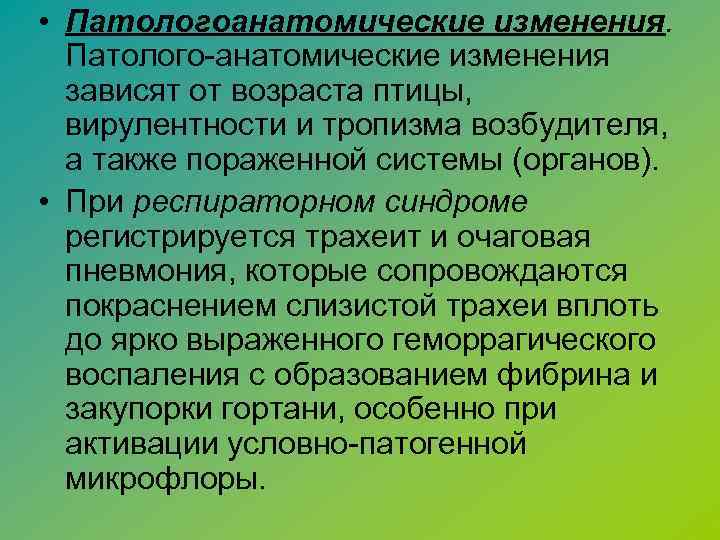  • Патологоанатомические изменения. Патолого-анатомические изменения зависят от возраста птицы, вирулентности и тропизма возбудителя,