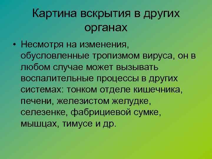 Картина вскрытия в других органах • Несмотря на изменения, обусловленные тропизмом вируса, он в
