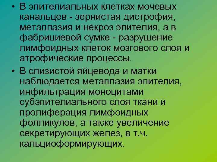  • В эпителиальных клетках мочевых канальцев - зернистая дистрофия, метаплазия и некроз эпителия,
