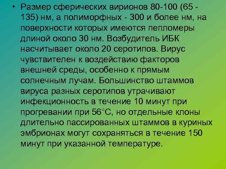  • Размер сферических вирионов 80 -100 (65 135) нм, а полиморфных - 300