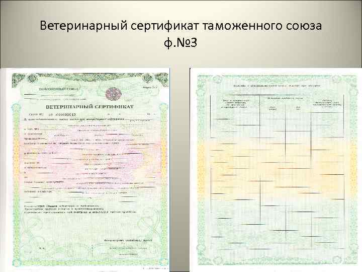 Ветеринарные документы. Ветеринарный сертификат таможенного Союза формы №1.. Вет сертификат таможенного Союза форма 2. Ветеринарно-сопроводительные документы это. Сопроводительныемдлкументы сертификат ветеринарный.