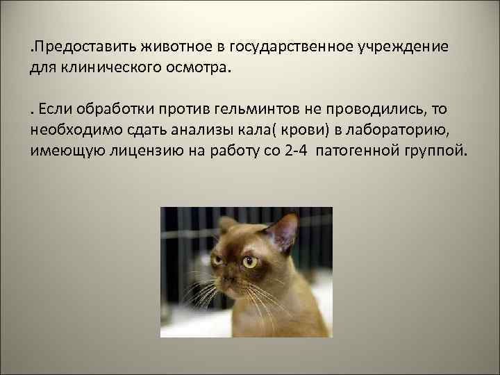 . Предоставить животное в государственное учреждение для клинического осмотра. . Если обработки против гельминтов