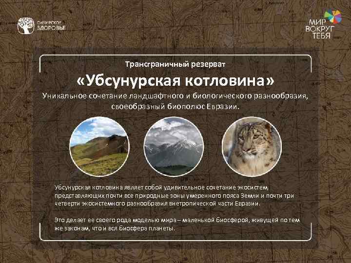 Трансграничный резерват «Убсунурская котловина» Уникальное сочетание ландшафтного и биологического разнообразия, своеобразный биополюс Евразии. Убсунурская