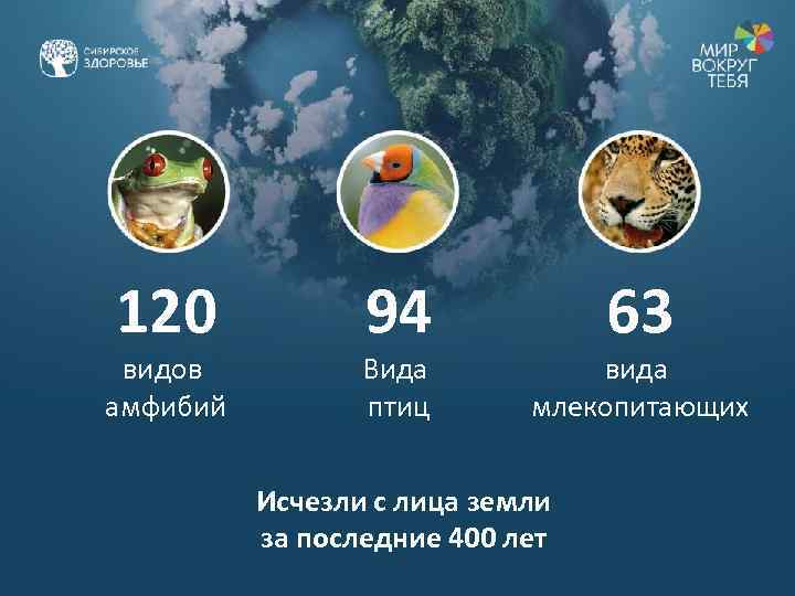 120 видов амфибий 94 Вида птиц 63 вида млекопитающих Исчезли с лица земли за