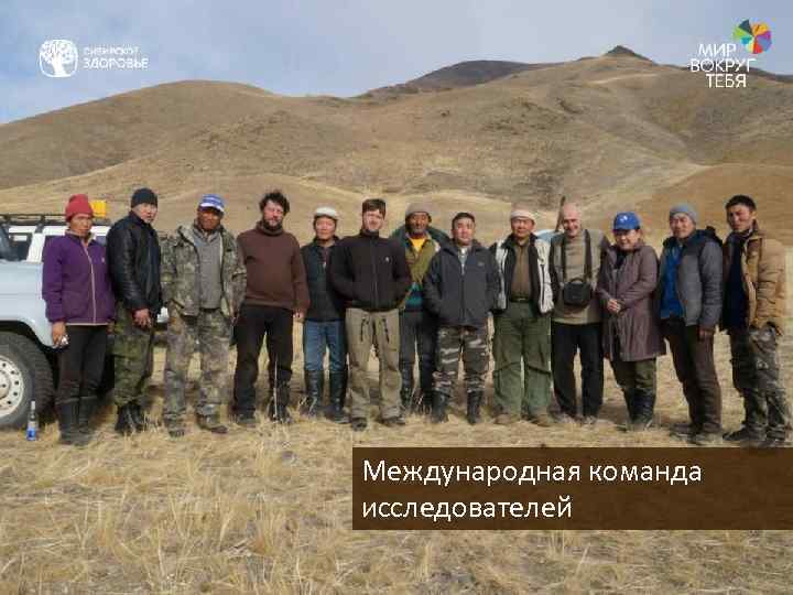Международная команда исследователей 