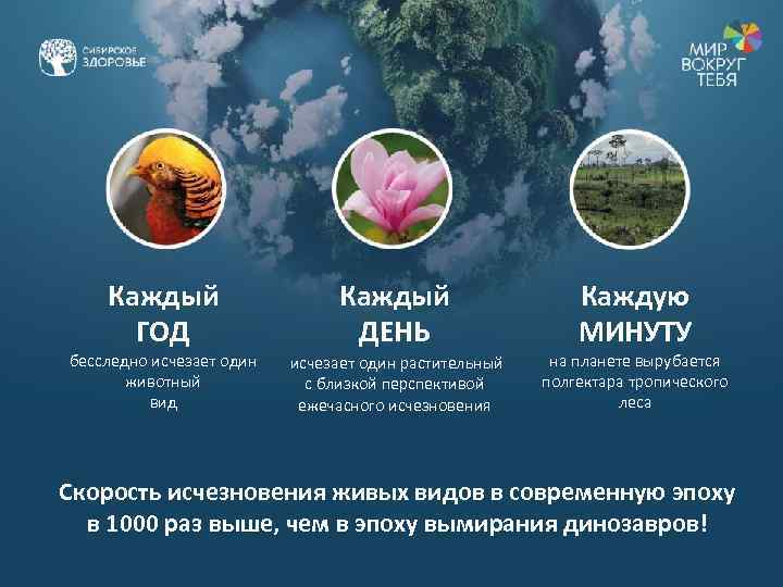 Каждый ГОД бесследно исчезает один животный вид Каждый ДЕНЬ исчезает один растительный с близкой
