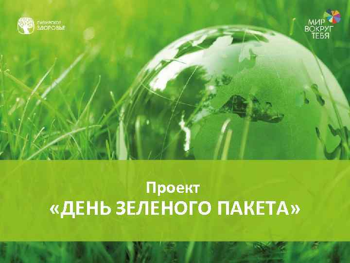 Проект «ДЕНЬ ЗЕЛЕНОГО ПАКЕТА» 