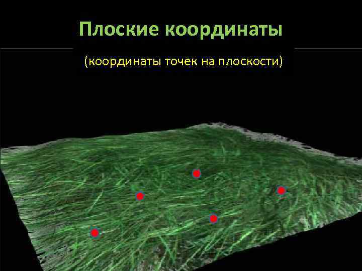 Плоские координаты (координаты точек на плоскости) 
