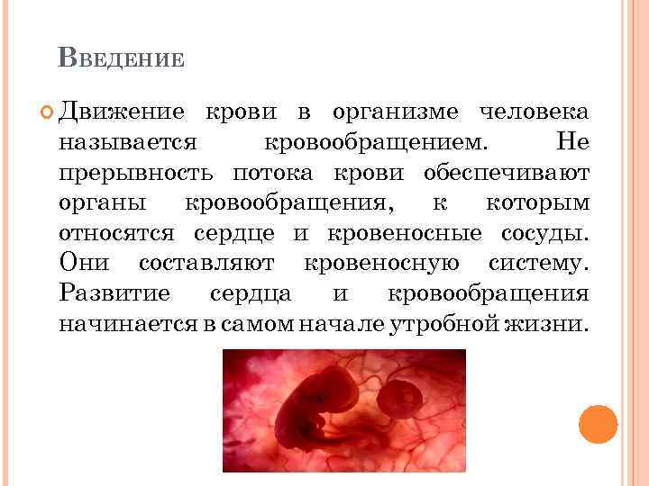 ВВЕДЕНИЕ Движение крови в организме человека называется кровообращением. Не прерывность потока крови обеспечивают органы