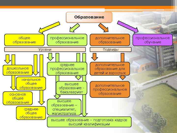 Общее образование дошкольное основное общее