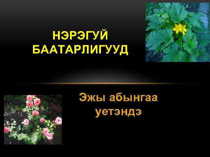 НЭРЭГУЙ БААТАРЛИГУУД Эжы абынгаа уетэндэ 